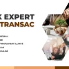 Pack Expert Lucatransac sans engagement sur 3 mois